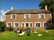 Bason FArm