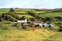 Lower capscott working farm