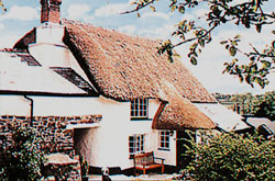 Holiday Homes - North devon