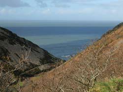 exmoor