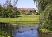 Lower Gatehouse B&B- Black Dog