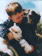 Loveton Working farm Holidays