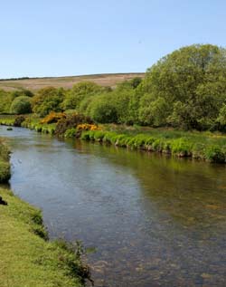 Landacre