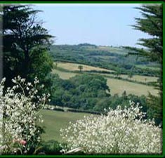 Holiday Cottages