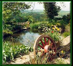 Pond