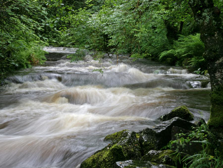 East Okement near Okehampton