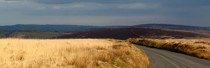 Exmoor