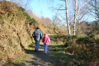 A winters walk on the common