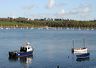 appledoor_008-may06