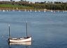 appledoor_010-may06