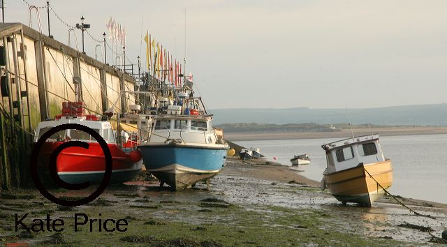 appledore-jun2006_015a.jpg