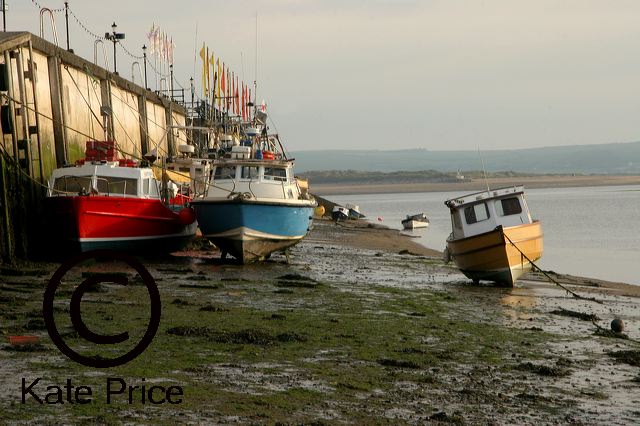appledore-jun2006_015b.jpg