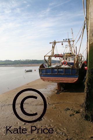 appledore-jun2006_092a.jpg