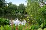 rosemoor-june2006_025